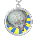 Bam ! Collier de hérisson