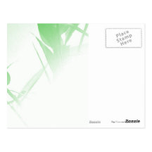 Bambou Cartes Postales