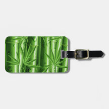 Bambou frais avec l'étiquette de bagage de rosée