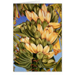 Bananes-figues Cartes De Vœux