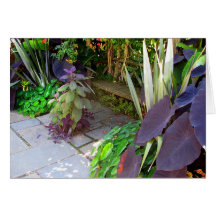 Banc de jardin cartes de vœux