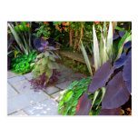 Banc de jardin cartes postales