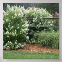 Barrière de jardin poster