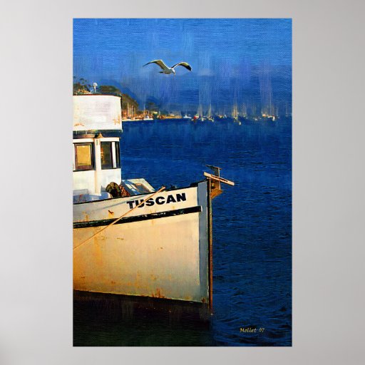 Bateau, mouette, coucher du soleil, baie de Morro, Posters