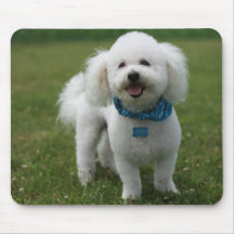 Baxter Tapis De Souris