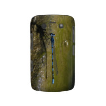BB Damselfly - de geval-Partner van Blackberry Gev Blackberry Bold Case
