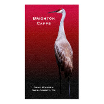 BC Kraan Sandhill in Profiel Visitekaartjes Sjabloon