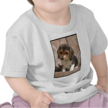 Beagle T-shirt
