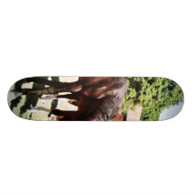 Beau cheval skateboards cutomisables