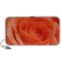 Beau haut-parleur de griffonnage de rose