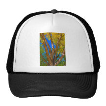 Beau jour d'automne de ciel bleu casquettes de camionneur