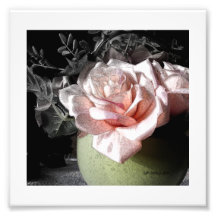 BEAU ROSE de ROSE par le CR SINCLAIR Impression Photo