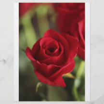 Beau rose rouge prospectus
