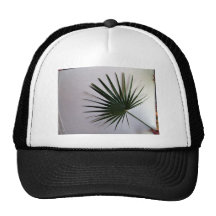 Beau tir d'une palmette de fan contre le Ba blanc Casquette De Camionneur