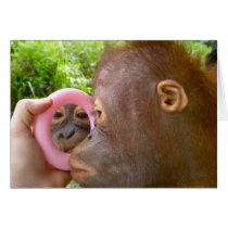 Beau visage dans le miroir