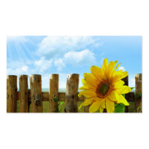 Beauté de nature de tournesol modèle de carte de visite