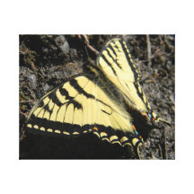 Beauté jaune toile tendue sur châssis