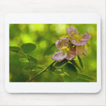 Beauté rose tapis de souris