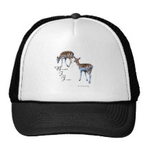 Beaux amis velus casquette
