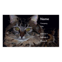 Beaux cartes de visite de chat cartes de visite personnelles