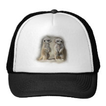 Bébé jumeau Meerkats Casquette
