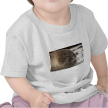 Bébé phoque d'éléphant t-shirts