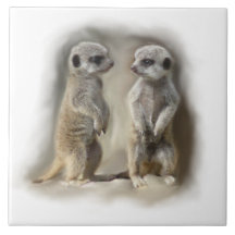 bébés de meerkat carreau en céramique