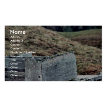 Bécasseau de roche sur des ruines de 2ÈME GUERRE M Cartes De Visite Professionnelles