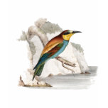 Bee Eater Tshirts