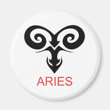 BÉLIER MAGNETS POUR RÉFRIGÉRATEUR