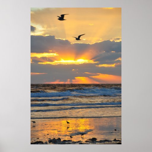 Belle affiche de paysage de lever de soleil de pla