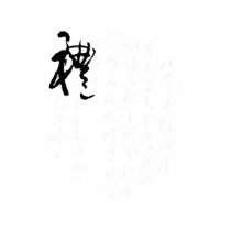 Belle calligraphie chinoise - cadeaux t-shirts