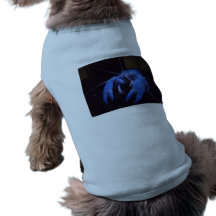 Belle chemise de chien d'écrevisses tee-shirts pour chien
