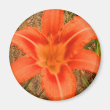 belle fleur tropicale aimants pour réfrigérateur