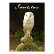 Belle invitation de hibou de grange