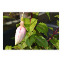 Belle nature ! ! ! invitations personnalisées