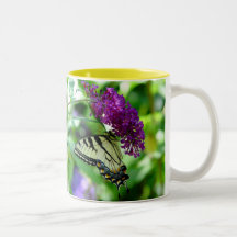 Belle tasse 3 de papillon