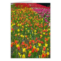 belles fleurs cartes