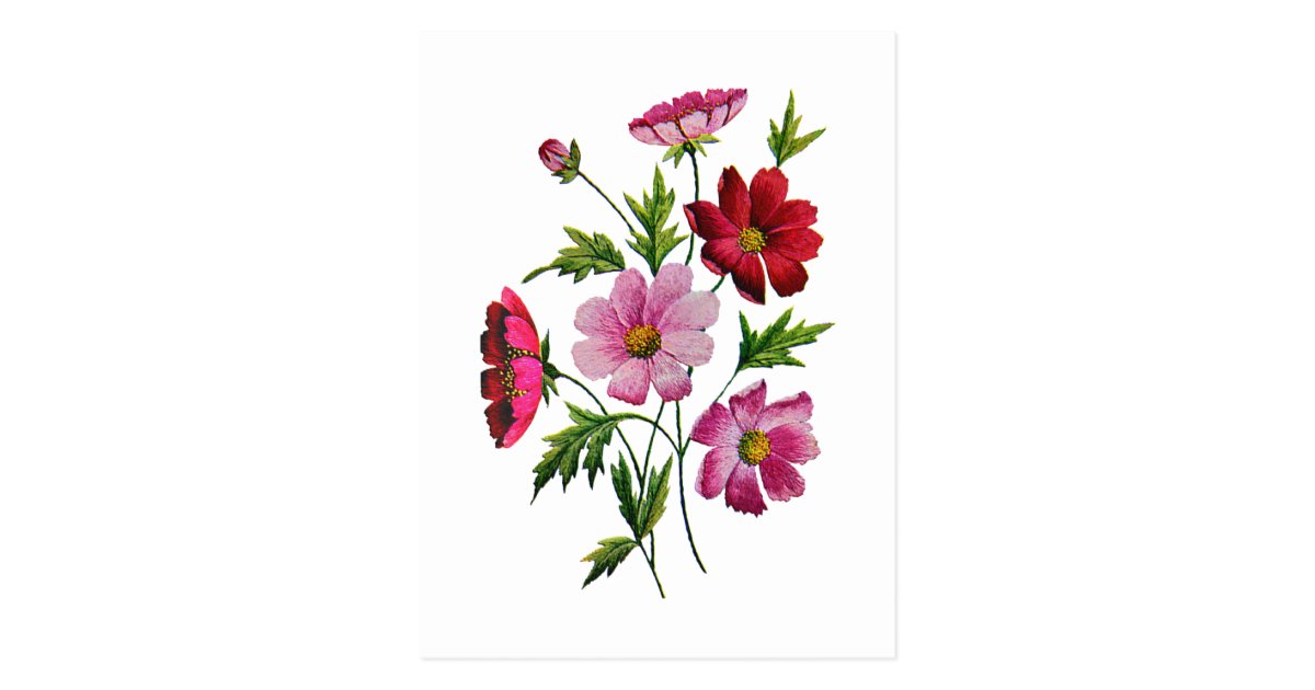 Belles fleurs de cosmos en broderie de laine à cartes ...