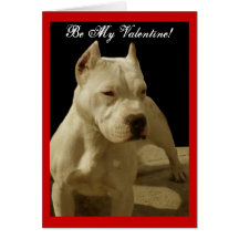 Ben Mijn wenskaart van de Valentijnskaart pitbull