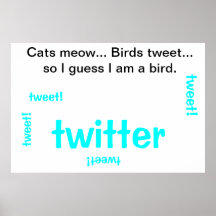 Bent u een kat of een vogel? plaat