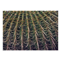Bergen en Valleien op Cactus Aankondiging