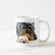Berger australien tasse à café