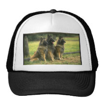 bergers 3-German Casquettes De Camionneur