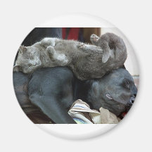 Beste Vrienden Koelkast Magneetjes