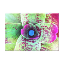 Bezinning Canvas Afdruk