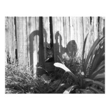 BFblack&white Faire-part