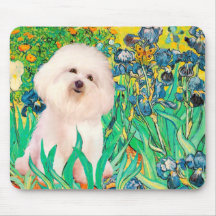 Bichon Frise 4 - iris Tapis De Souris