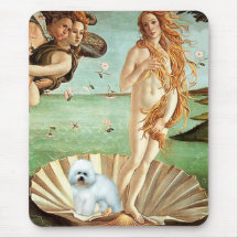 Bichon Frise 5 - Vénus - customisé Tapis De Souris