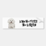 Bichon Frise à bord Adhésif Pour Voiture